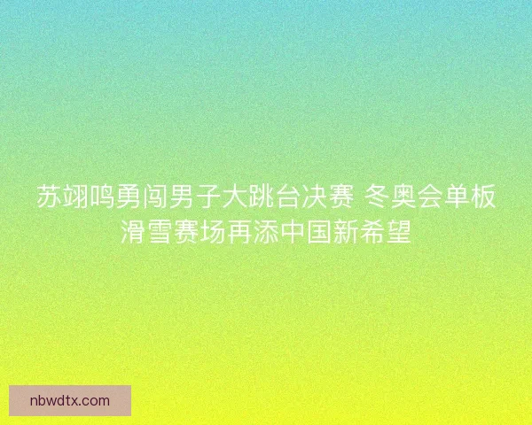 苏翊鸣勇闯男子大跳台决赛 冬奥会单板滑雪赛场再添中国新希望 苏翊鸣勇闯男子大跳台决赛 冬奥会单板滑雪赛场再添中国新希望